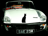 Animal TBD Style 329 Vinyl Wall Car Window Decal - Fusion Decals