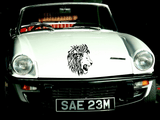 Animal TBD Style 414 Vinyl Wall Car Window Decal - Fusion Decals