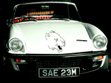 Animal TBD Style 518 Vinyl Wall Car Window Decal - Fusion Decals