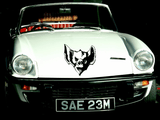 Animal TBD Style 550 Vinyl Wall Car Window Decal - Fusion Decals