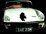 Animal TBD Style 553 Vinyl Wall Car Window Decal - Fusion Decals