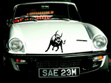 Animal TBD Style 563 Vinyl Wall Car Window Decal - Fusion Decals