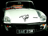 Animal TBD Style 571 Vinyl Wall Car Window Decal - Fusion Decals