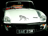 Animal TBD Style 590 Vinyl Wall Car Window Decal - Fusion Decals
