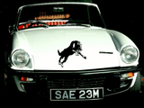 Animal TBD Style 591 Vinyl Wall Car Window Decal - Fusion Decals