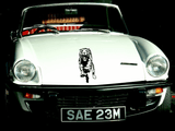 Animal TBD Style 608 Vinyl Wall Car Window Decal - Fusion Decals