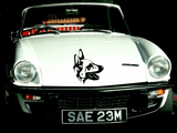 Animal TBD Style 622 Vinyl Wall Car Window Decal - Fusion Decals