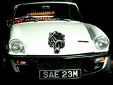 Animal TBD Style 629 Vinyl Wall Car Window Decal - Fusion Decals