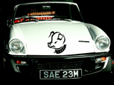 Animal TBD Style 643 Vinyl Wall Car Window Decal - Fusion Decals