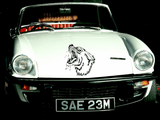 Animal TBD Style 646 Vinyl Wall Car Window Decal - Fusion Decals