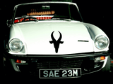 Animal TBD Style 655 Vinyl Wall Car Window Decal - Fusion Decals