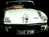 Animal TBD Style 683 Vinyl Wall Car Window Decal - Fusion Decals