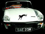 Animal TBD Style 691 Vinyl Wall Car Window Decal - Fusion Decals