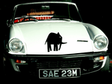 Animal TBD Style 707 Vinyl Wall Car Window Decal - Fusion Decals