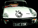 Animal TBD Style 710 Vinyl Wall Car Window Decal - Fusion Decals