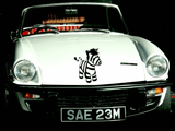 Animal TBD Style 712 Vinyl Wall Car Window Decal - Fusion Decals