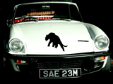 Animal TBD Style 761 Vinyl Wall Car Window Decal - Fusion Decals