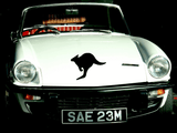 Animal TBD Style 781 Vinyl Wall Car Window Decal - Fusion Decals