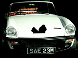 Animal TBD Style 783 Vinyl Wall Car Window Decal - Fusion Decals