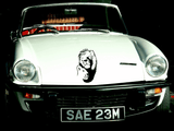 Animal TBD Style 787 Vinyl Wall Car Window Decal - Fusion Decals