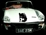 Animal TBD Style 789 Vinyl Wall Car Window Decal - Fusion Decals