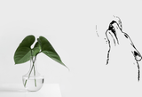 Animal TBD Style 794 Vinyl Wall Car Window Decal - Fusion Decals