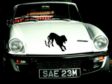 Animal TBD Style 811 Vinyl Wall Car Window Decal - Fusion Decals