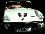 Animal TBD Style 813 Vinyl Wall Car Window Decal - Fusion Decals
