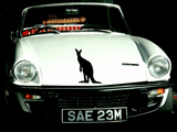Animal TBD Style 821 Vinyl Wall Car Window Decal - Fusion Decals