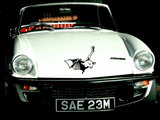 Animal TBD Style 825 Vinyl Wall Car Window Decal - Fusion Decals