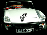 Animal TBD Style 831 Vinyl Wall Car Window Decal - Fusion Decals