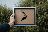 Animal TBD Style 886 Vinyl Wall Car Window Decal - Fusion Decals