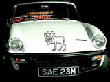 Animal TBD Style 903 Vinyl Wall Car Window Decal - Fusion Decals