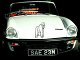 Animal TBD Style 926 Vinyl Wall Car Window Decal - Fusion Decals