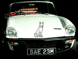 Animal TBD Style 927 Vinyl Wall Car Window Decal - Fusion Decals