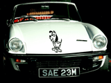 Animal TBD Style 948 Vinyl Wall Car Window Decal - Fusion Decals