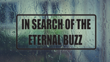 In Search of the Enternal Buzz Wall Decal - Removable - Fusion Decals