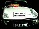 More Balls Than Brains Wall Decal - Removable - Fusion Decals