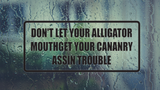 Don't let your Alligator Mouthget your Cananry  Wall Decal - Removable - Fusion Decals