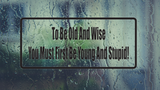 To Be Old And Wise You Must First Be Stupid Wall Decal - Removable - Fusion Decals