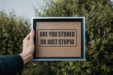 Are you stoned or just stupid Wall Decal - Removable - Fusion Decals