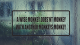A wise monkey doesn't monkey with another monkeys monkey Wall Decal - Removable - Fusion Decals