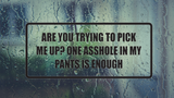 Are you trying to pick me up? One asshole in my pants is enough Wall Decal - Removable - Fusion Decals
