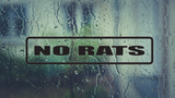 No rats Wall Decal - Removable - Fusion Decals