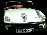 Big Cat Style 6 Vinyl Wall Car Window Decal - Fusion Decals