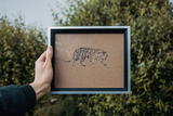 Big Cat Style 55 Vinyl Wall Car Window Decal - Fusion Decals
