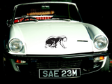 Big Cat Style 62 Vinyl Wall Car Window Decal - Fusion Decals