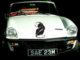 Big Cat Style 63 Vinyl Wall Car Window Decal - Fusion Decals