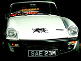 Big Cat Style 67 Vinyl Wall Car Window Decal - Fusion Decals