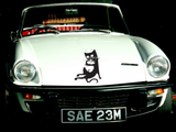Black Cat Style 1 Vinyl Wall Car Window Decal - Fusion Decals